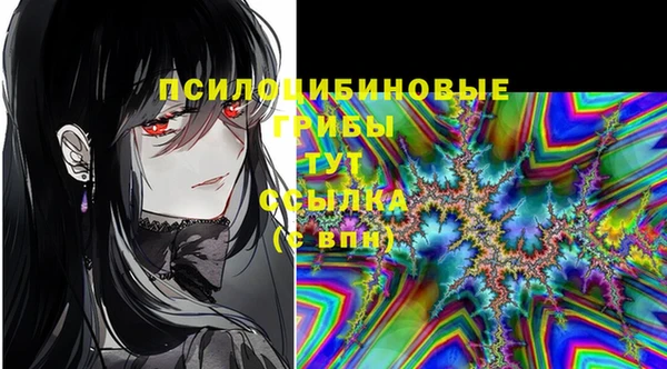 альфа пвп Няндома