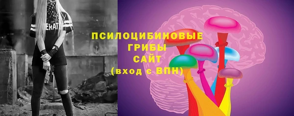 альфа пвп Няндома