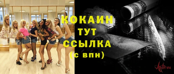 альфа пвп Няндома