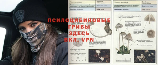 бутират Нягань