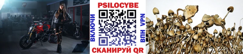хочу наркоту  МЕГА tor  Псилоцибиновые грибы Psilocybe  Алушта 