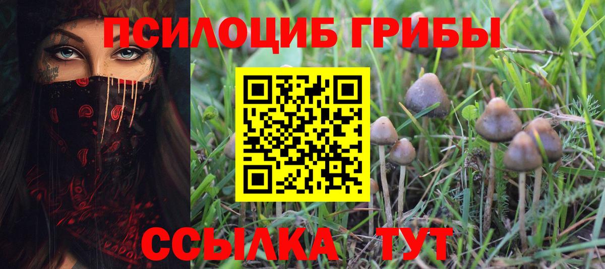 Алушта  Галлюциногенные грибы Cubensis  Вход с VPN 