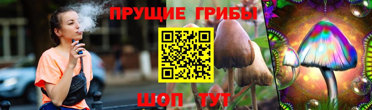 Псилоцибиновые грибы Psilocybe  Алушта 